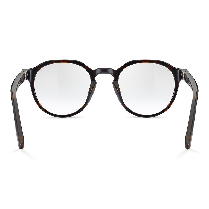 JASP 01, Havana Shiny-, hi-res image number null